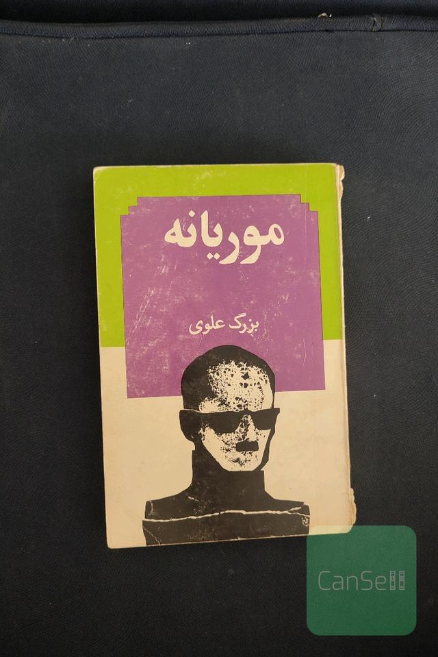 موریانه