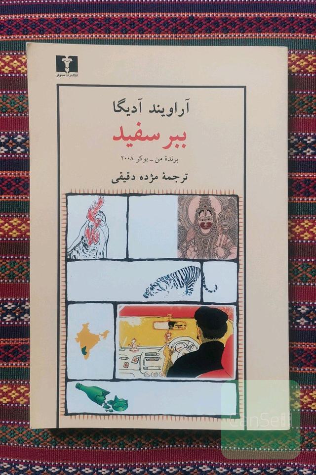 ببر سفید