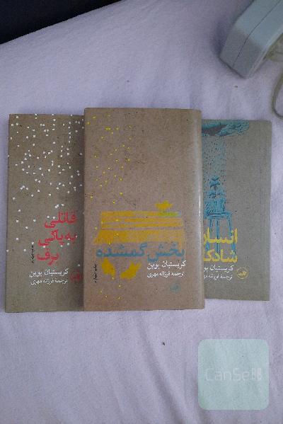 بخش گمشده