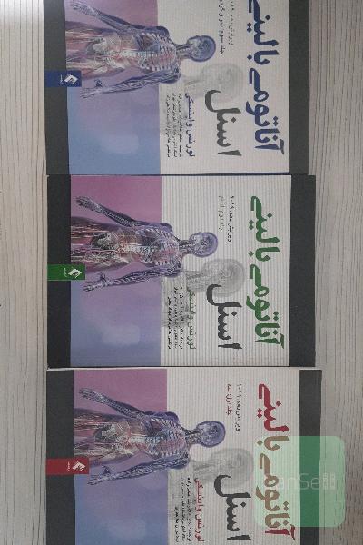 مجموعه 3 جلدی آناتومی اسنل(تنه، اندام، سر و گردن)