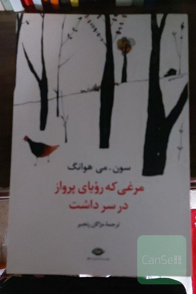 مرغی که رویای پرواز در سر داشت