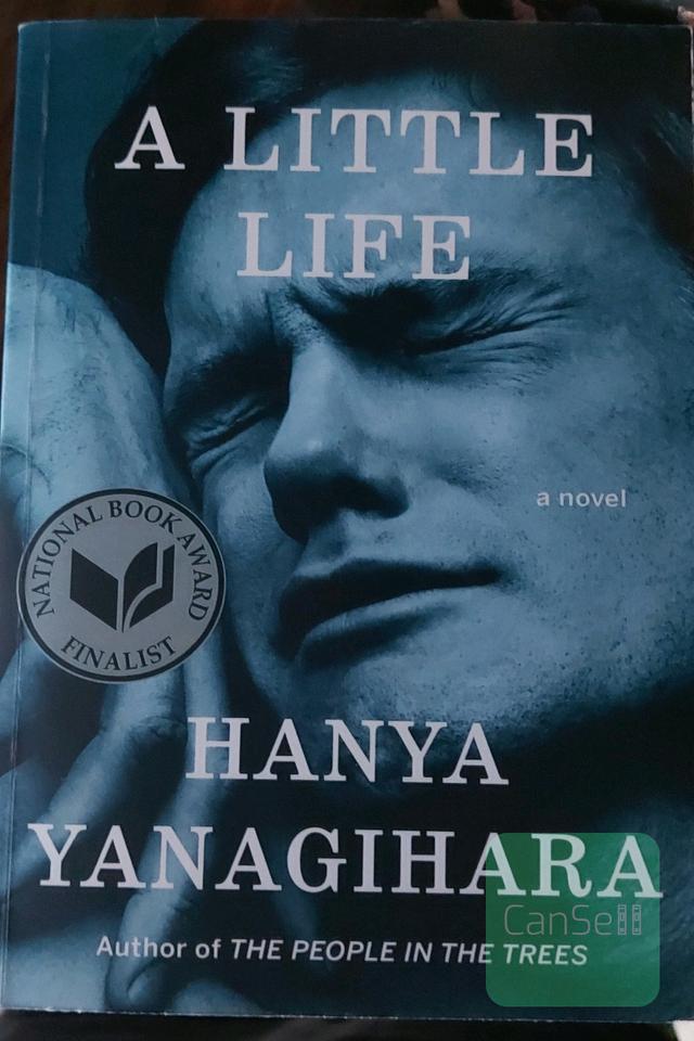 a little life