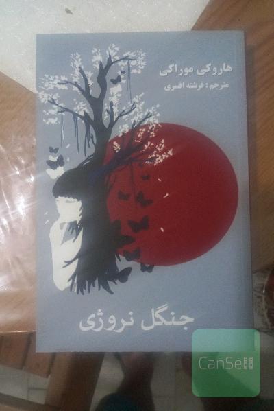 جنگل نروژی
