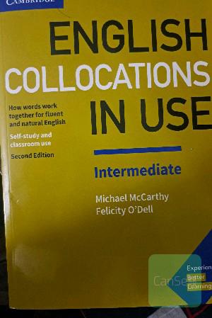 English collocation in use