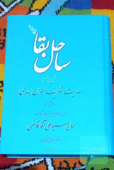 ساحل بقا