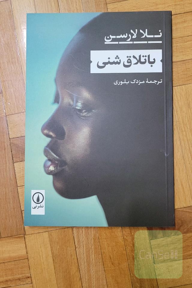 باتلاق شنی
