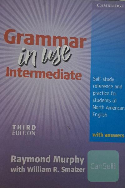 grammar in use 