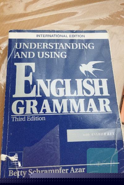 understanding and using English grammar