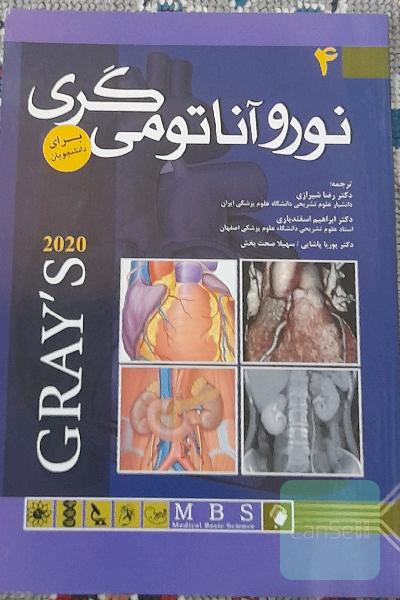 نوروآناتومی گری 