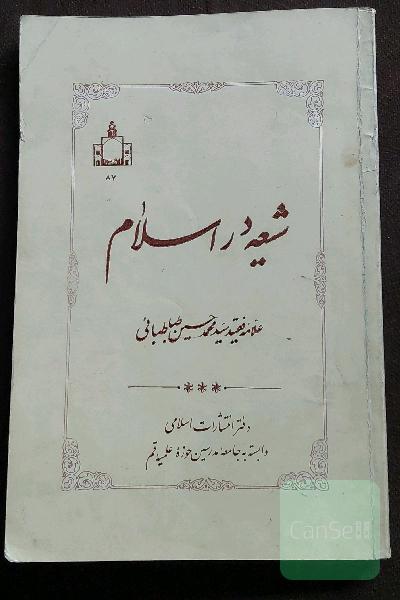 شیعه در اسلام