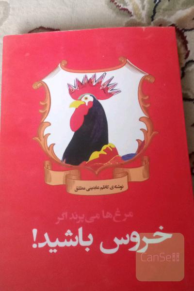 مرغها می پرند اگر خروس باشید
