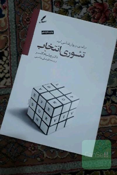 تئوری انتخاب