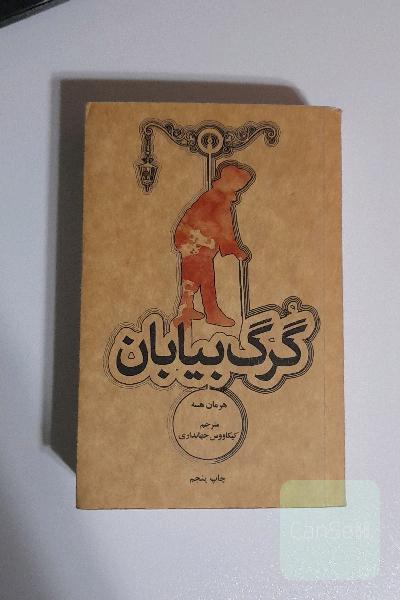 گرگ بیابان