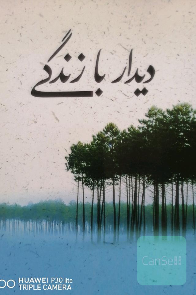 دیدار با زندگی