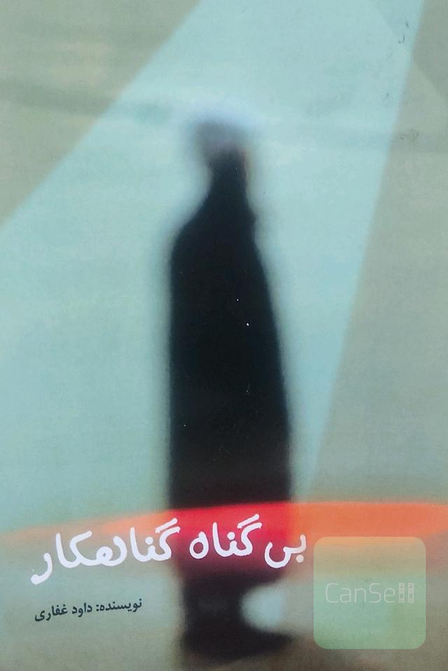 بی‌گناه گناهکار