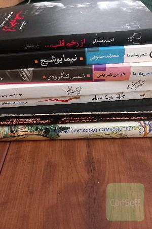 مجموعه اشعار جهان چند جلدی