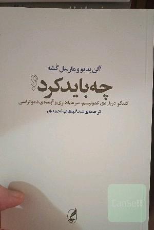 چه باید کرد؟ (گفت‌و‌گویی پیرامون کمونیسم، سرمایه‌داری و آینده‌ی دموکراسی)