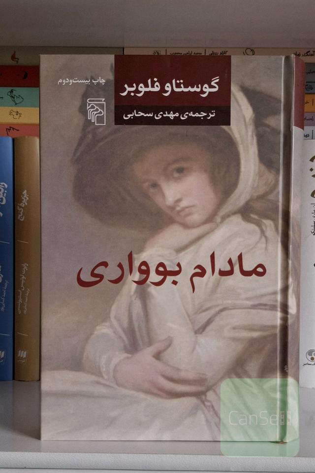 مادام بواری