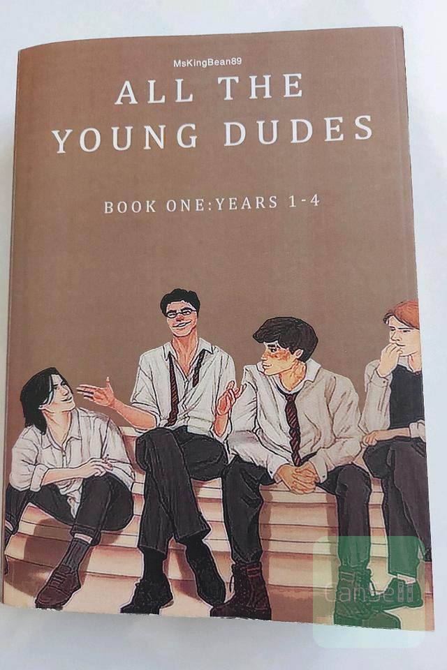 all the young dudes