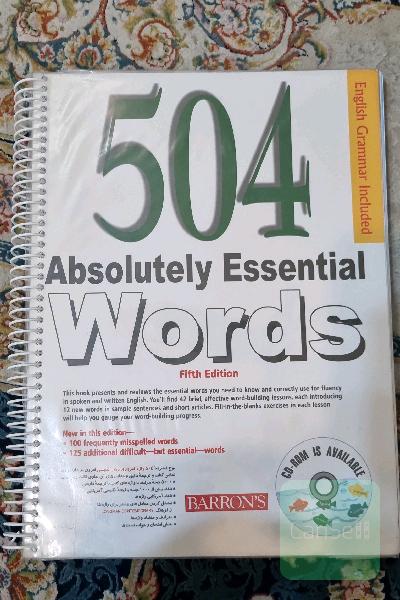 504 absolutely essential words