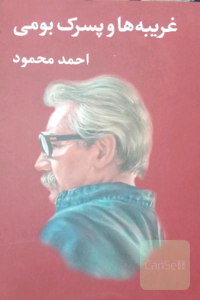 غریبه هاوپسرک بومی