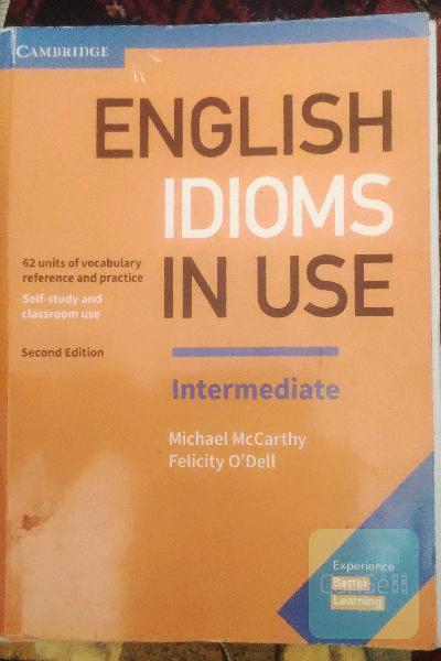 English idioms in use