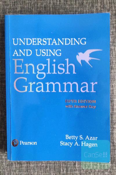 understanding and using english grammar