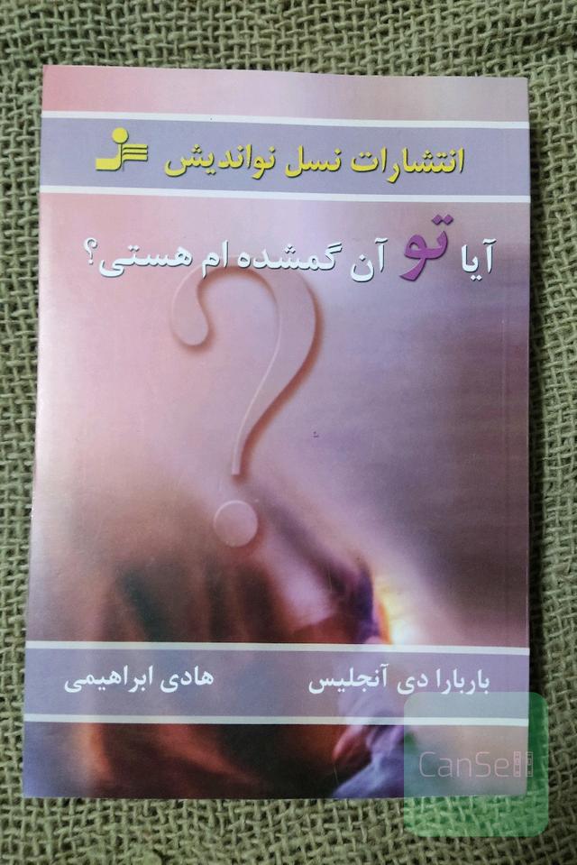 کتاب آیا تو آن گمشده ام هستی