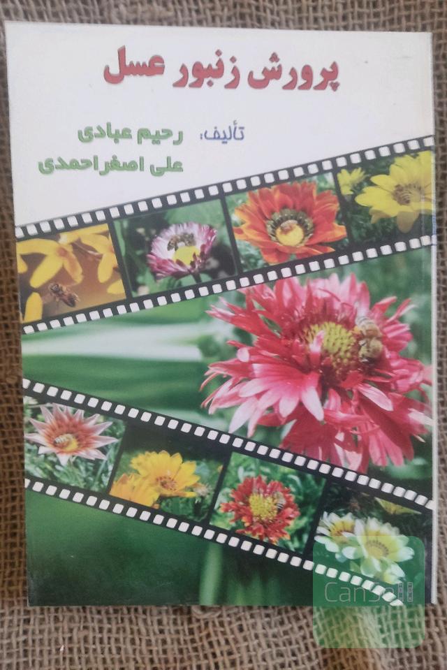 پرورش زنبور عسل 