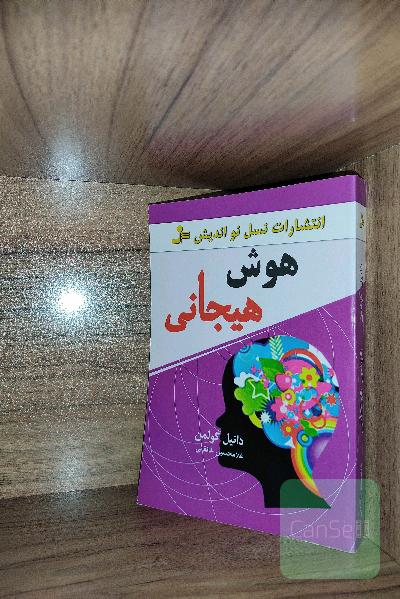 هوش هیجانی