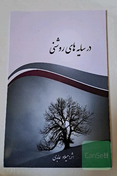 در سایه های روشنی