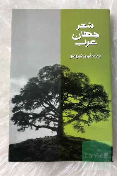 شعر جهان عرب