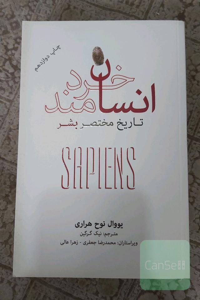 انسان خردمند