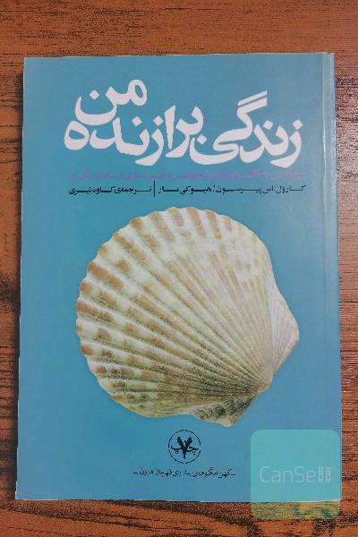 زندگی برازنده 
