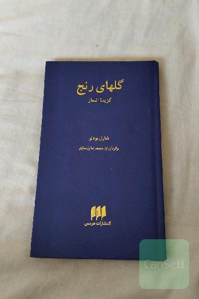 گزیده اشعار شارل بودلر 