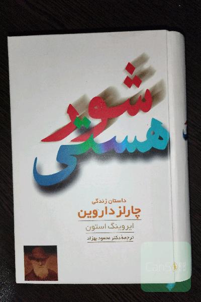 شور هستی