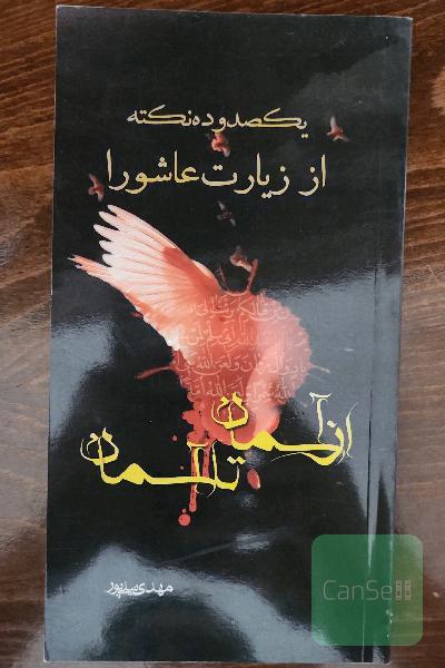 از آسمان تا آسمان : 110 نکته از زیارت عاشورا