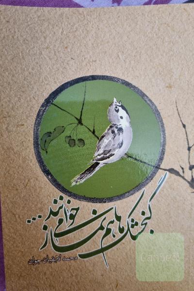 گنجشک ها هم نماز می خوانند