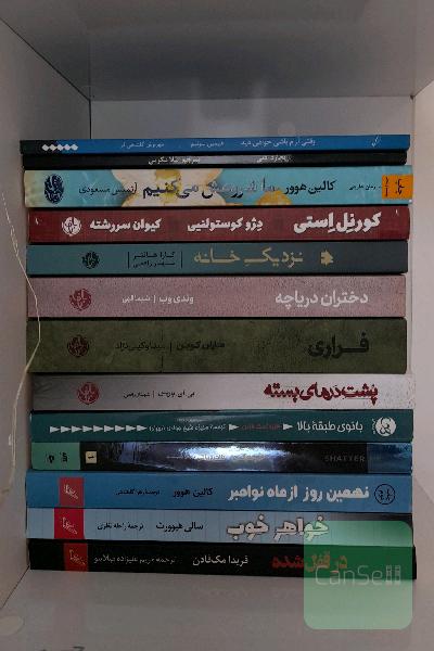 تعدادی کتاب 