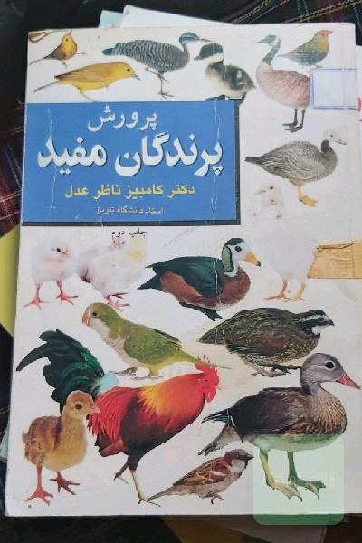 پرورش پرندگان مفید