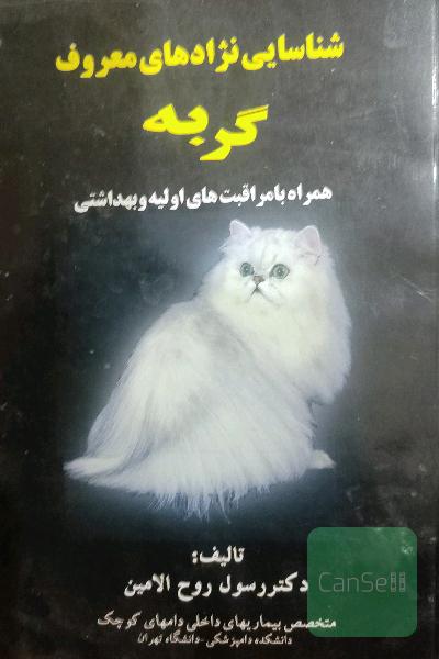  شناسایی نژادهای معروف گربه