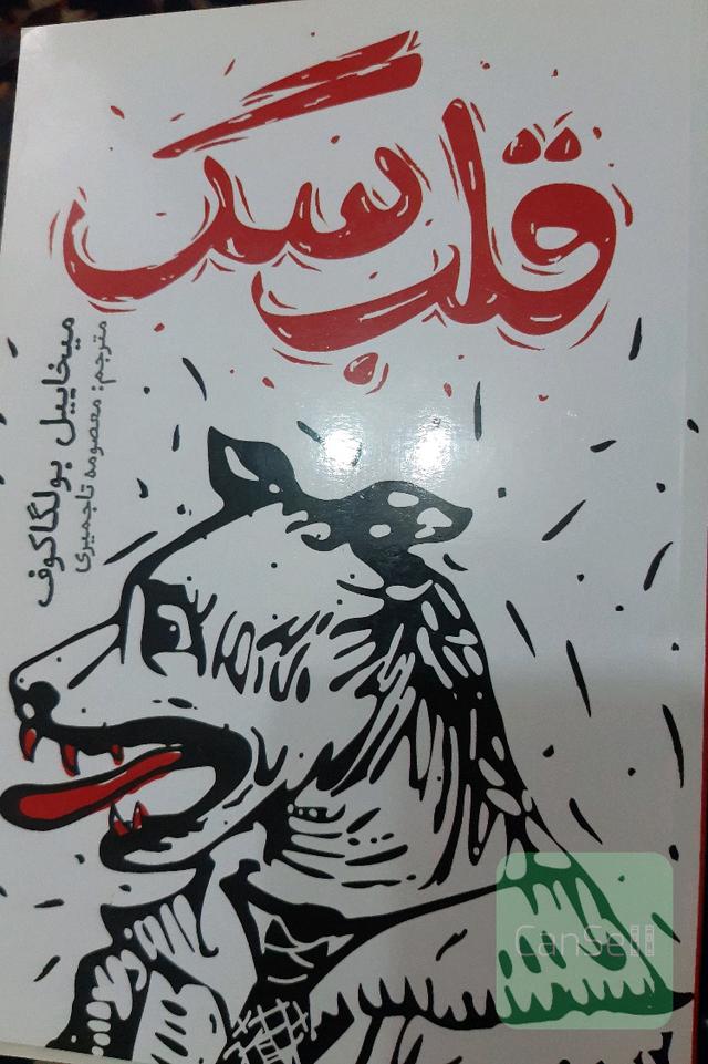 قلب سگ