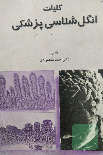 انگل شناسی پزشکی 