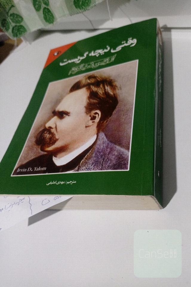 وقتی نیچه گریست 