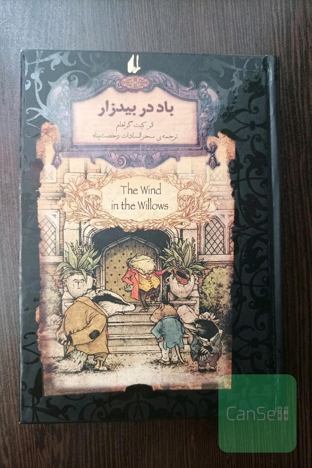 باد در بیدزار