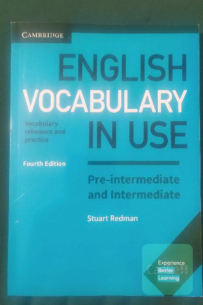 English Vocabulary in Use Pre intermediate and intermediate