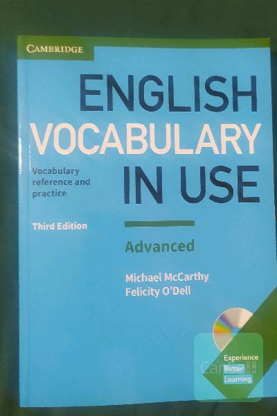 English Vocabulary in Use Advanced