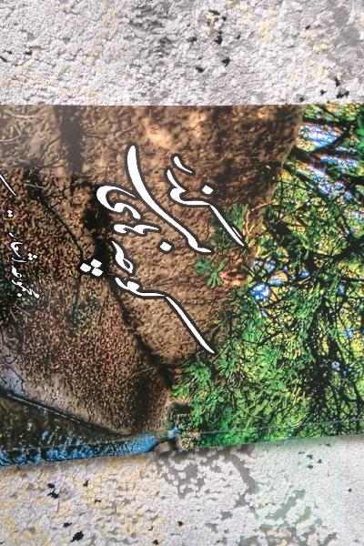 کوچه های بی گذر