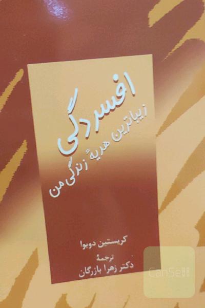 افسردگی زیباترین هدیه زندگی من