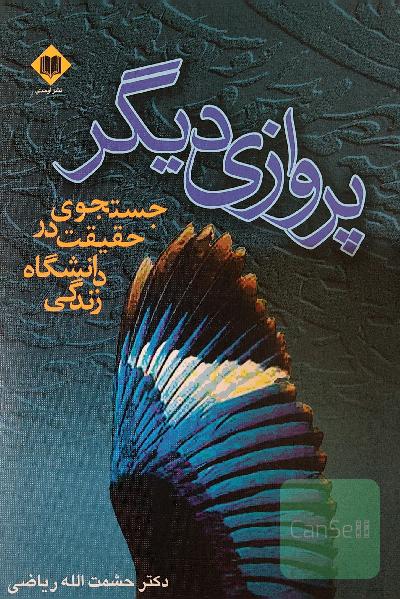 پروازی دیگر 